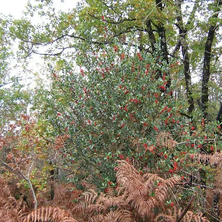 La Halte De Segondignac Saint-Germain-dʼEsteuil