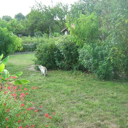 La Halte De Segondignac B&B