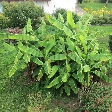 Couette-café La Halte De Segondignac 3*