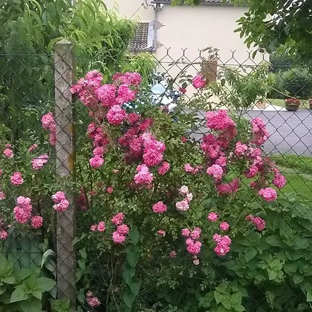 La Halte De Segondignac 3*