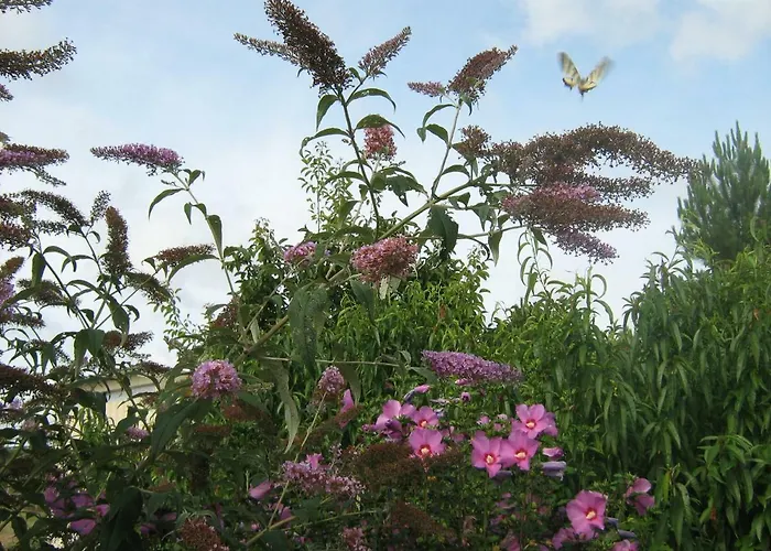 La Halte De Segondignac Bed and breakfast