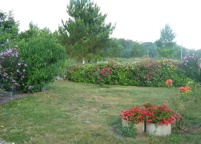 Bed and breakfast La Halte De Segondignac