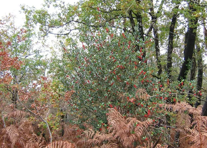 La Halte De Segondignac Saint-Germain-dʼEsteuil