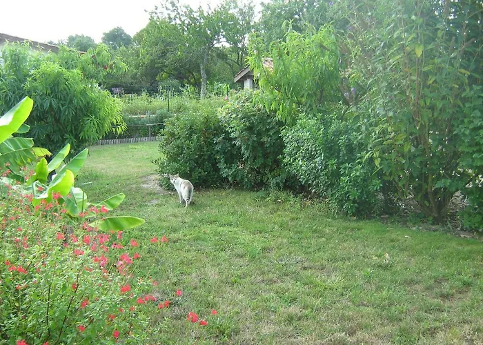 La Halte De Segondignac Bed and breakfast