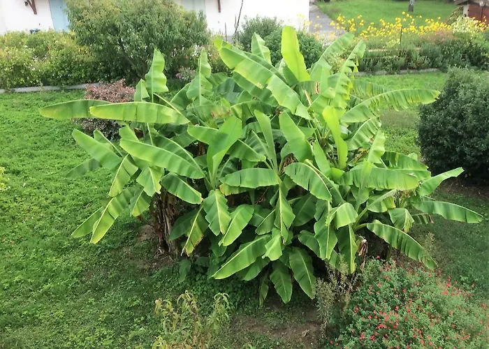 Bed and breakfast La Halte De Segondignac 3*