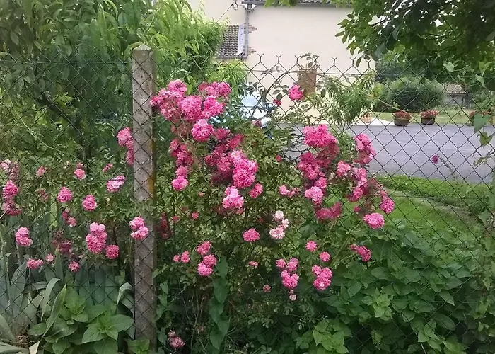 La Halte De Segondignac 3*